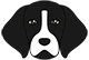 Droopy Chaos Harlow Essex Anyango Blanchet