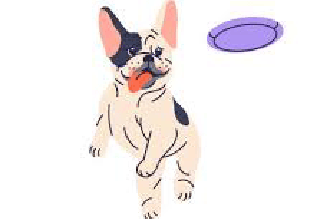 WondaBunny Bungee - Image 3