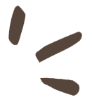 icon-test-1