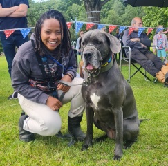 Anyango of Droopy Chaos at Broxborn Dog Fair.