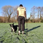dog walker in harlow