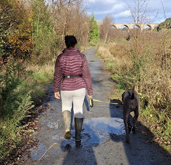 Droopy Chaos dog walking in Harlow Essex
