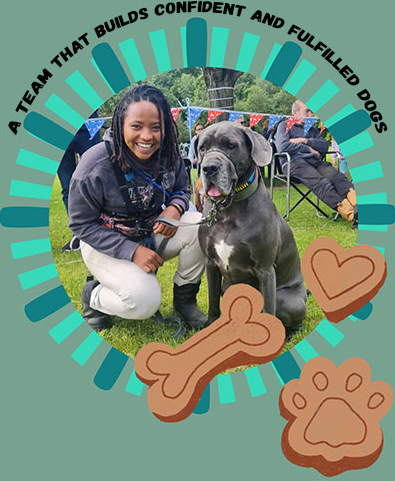 boderless Droopy Chaos Dog Training in Harlow Essex
