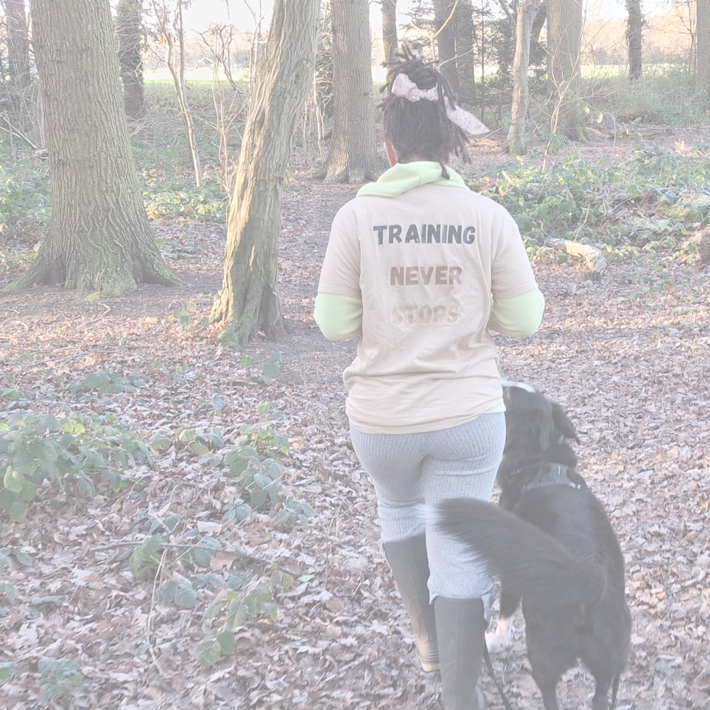 dog training walks Harlow