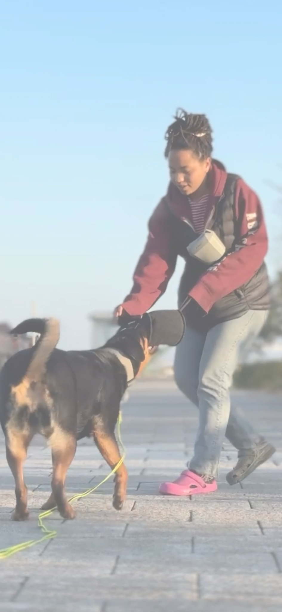 DroopyChaos dog training